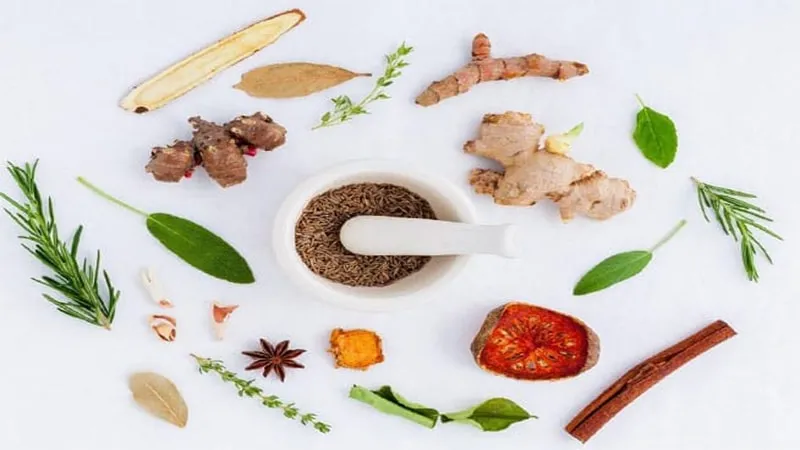 Natural herbal ingredients and spices used as effective solutions for balancing gut health to treat clear signs of skin irritation.